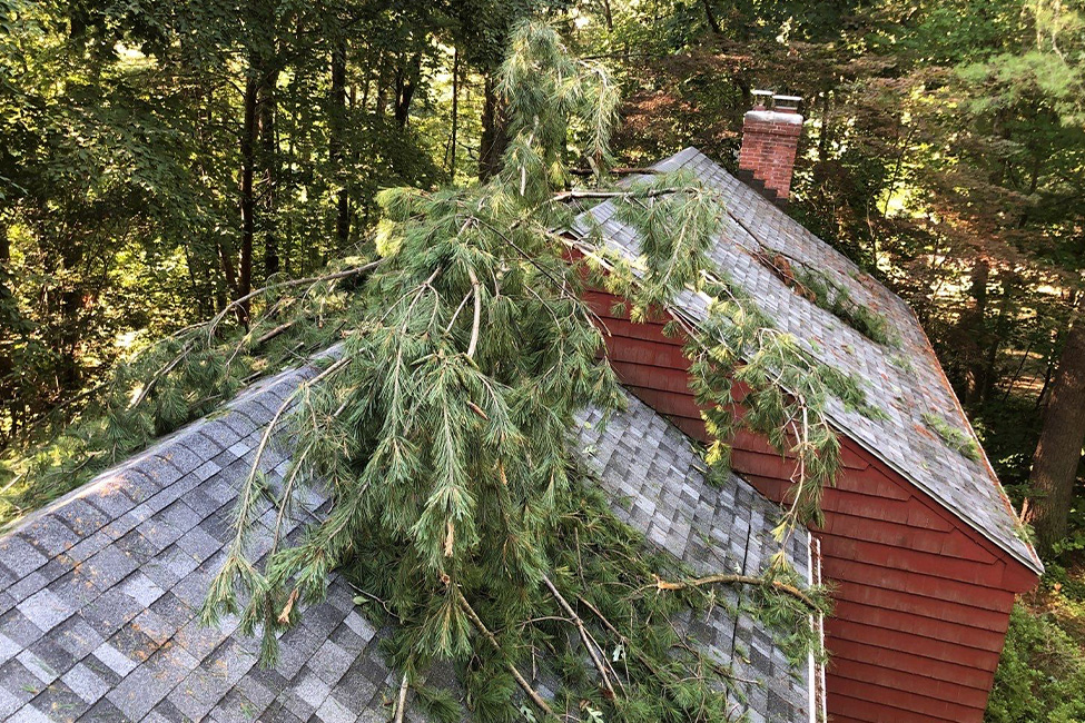 emergency tree removal, roof storm damage repair, storm damage roof repair