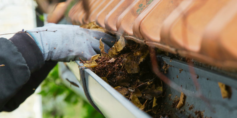 Here's Why You Need Gutter Protection This Spring - clogged gutters