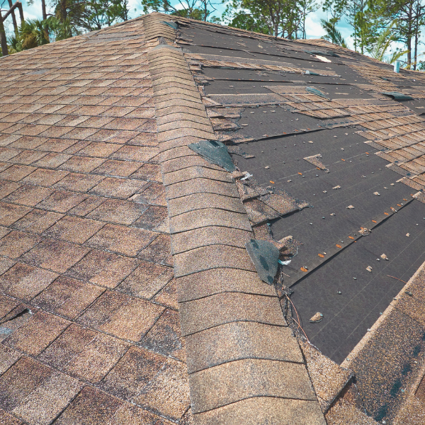 signs you need a roof replacement